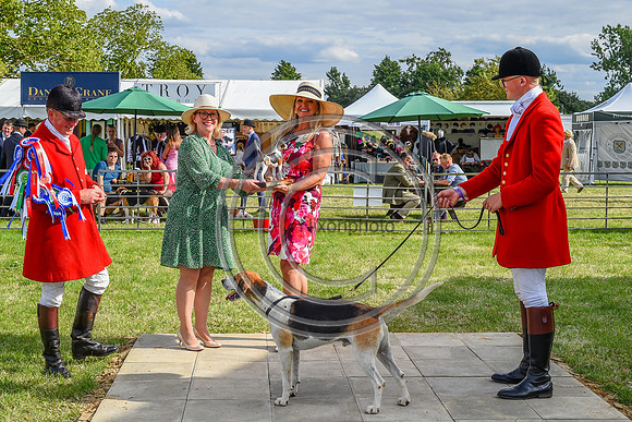 Festival of Hounds 2024