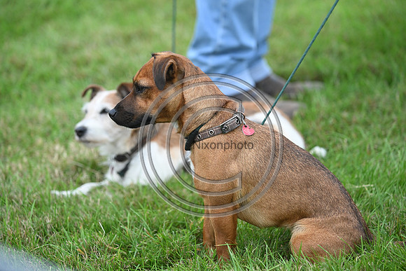 Scone Palace International Horse Trials