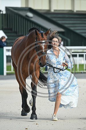 Scone Palace International Horse Trials