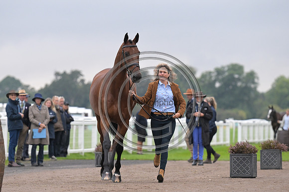 Scone Palace International Horse Trials