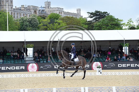 Louise Bell_Into The Blue_RWHS_PN23_71480
