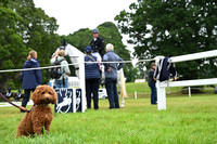 Scone Palace International Horse Trials