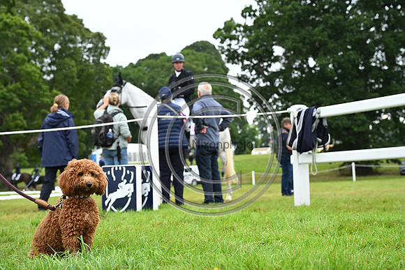 Scone Palace International Horse Trials