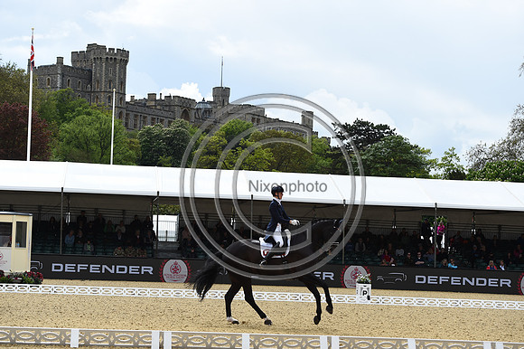 Kathleen Kröncke_San Royal 3_RWHS_PN23_71530