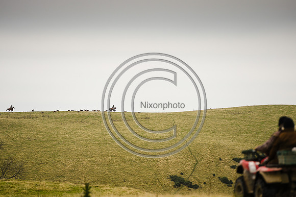 SouthShropshire_Hunting_PN43592