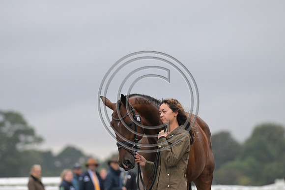 Scone Palace International Horse Trials
