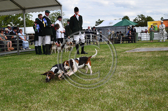 Festival of Hounds 2024