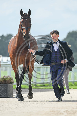 Scone Palace International Horse Trials