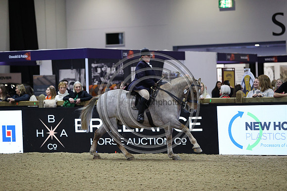Rising Star_CobChamp_LIHS_PN24_10247