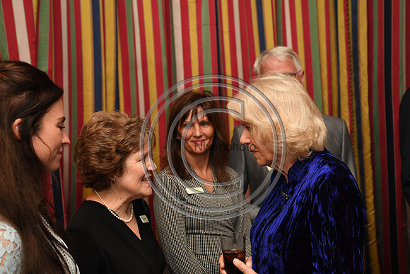 DUCHESS OF CORNWALL_BEF_PN22_10846