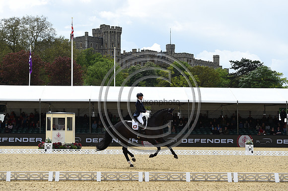 Kathleen Kröncke_San Royal 3_RWHS_PN23_71525