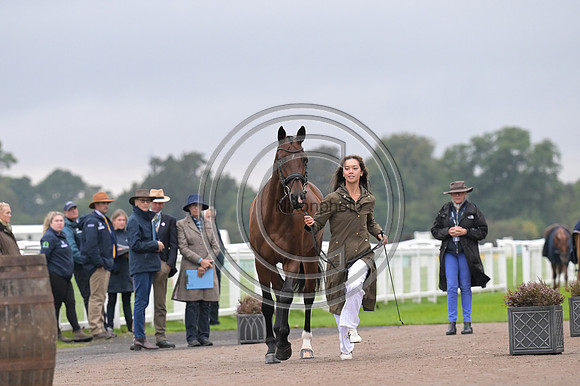 Scone Palace International Horse Trials