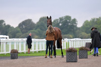 Scone Palace International Horse Trials