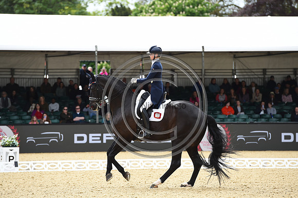 Kathleen Kröncke_San Royal 3_RWHS_PN23_71531