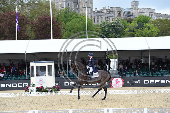 Louise Bell_Into The Blue_RWHS_PN23_71481