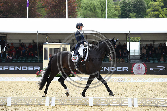 Kathleen Kröncke_San Royal 3_RWHS_PN23_71516