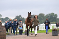 Scone Palace International Horse Trials