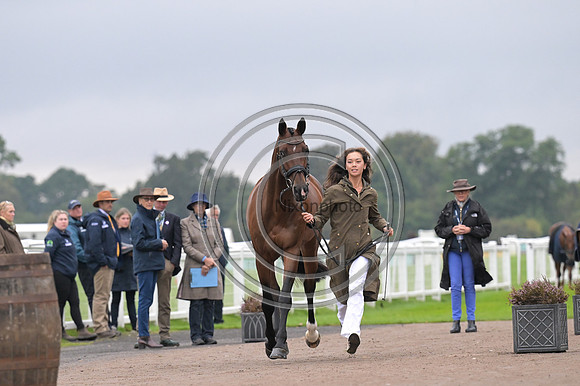 Scone Palace International Horse Trials