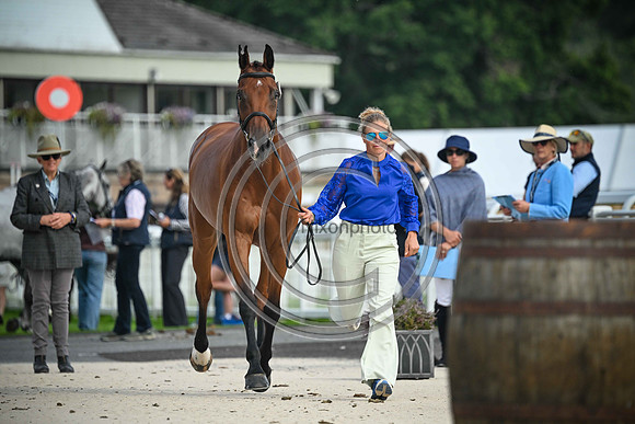 Scone Palace International Horse Trials