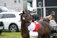 Scone Palace International Horse Trials