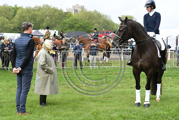 Valegro_RWHS_PN19_12903