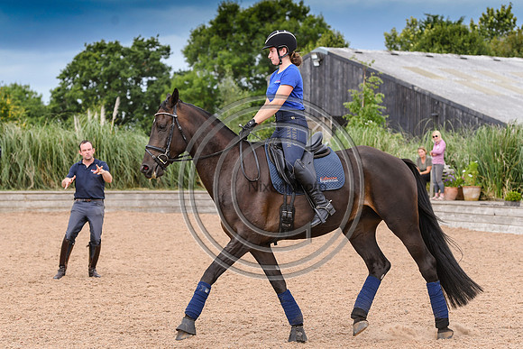 Collective Equestrian
