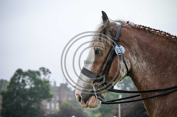 Scone Palace International Horse Trials