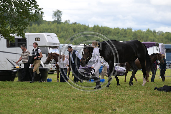 Scone Palace International Horse Trials