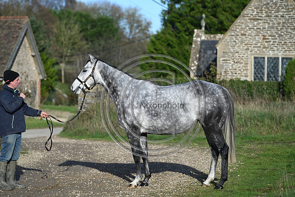 Mare_Selwood_PN48