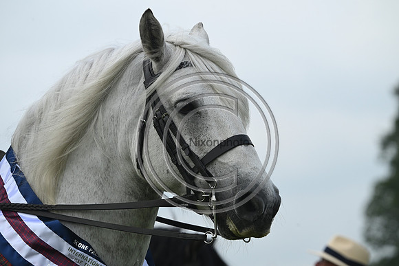 Scone Palace International Horse Trials