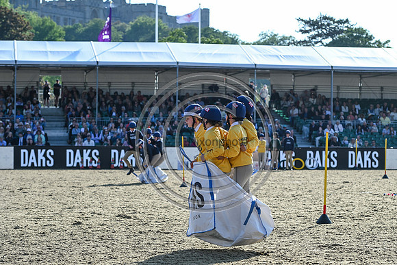 DAKS_PC_RWHS25_P190006