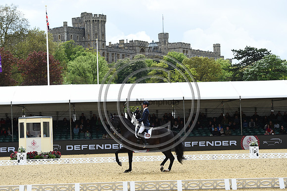Kathleen Kröncke_San Royal 3_RWHS_PN23_71535