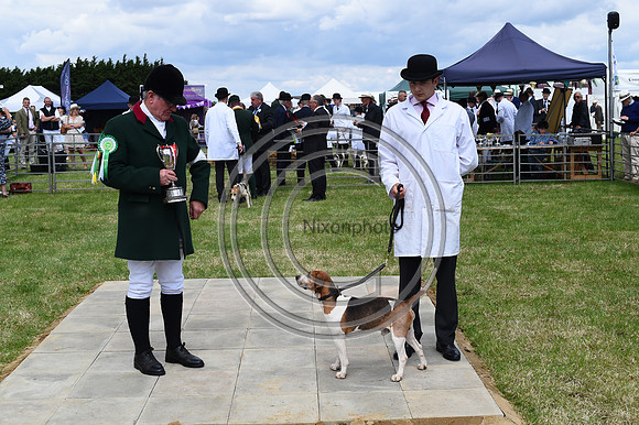 Festival of Hounds 2024