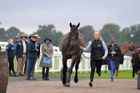 Scone Palace International Horse Trials