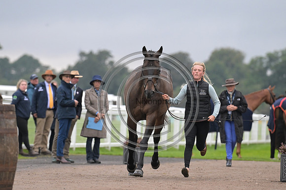 Scone Palace International Horse Trials