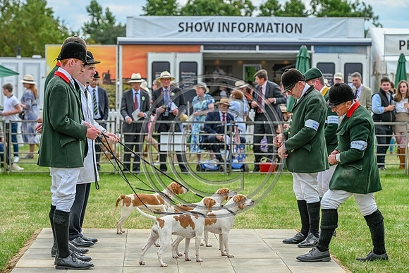 Festival of Hounds 2024