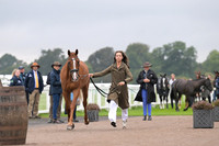 Scone Palace International Horse Trials