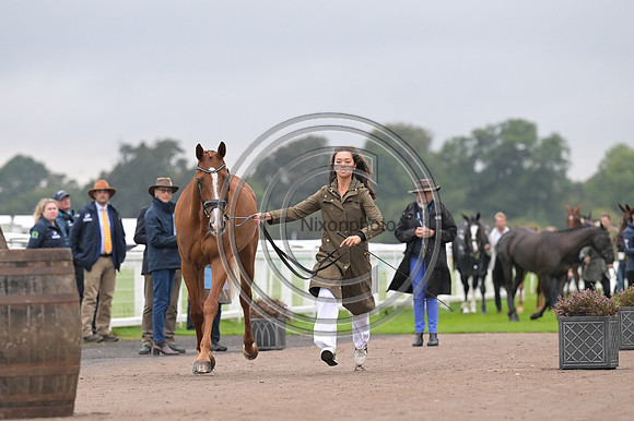 Scone Palace International Horse Trials