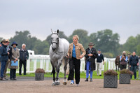 Trot_up