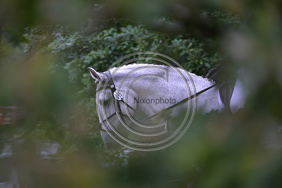 Scone Palace International Horse Trials