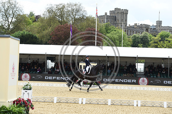 Kathleen Kröncke_San Royal 3_RWHS_PN23_71532