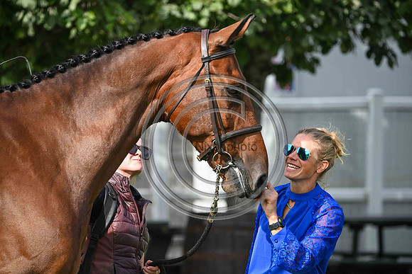 Scone Palace International Horse Trials