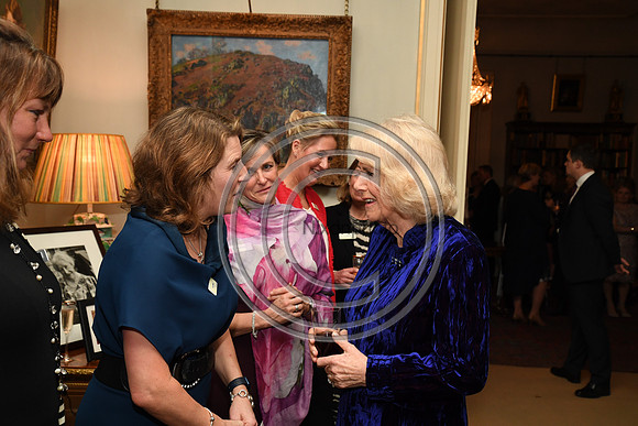 DUCHESS OF CORNWALL_BEF_PN22_10984