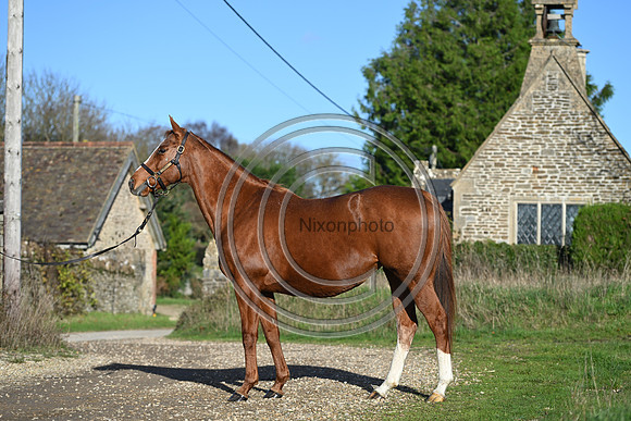 Mare_Selwood_PN33