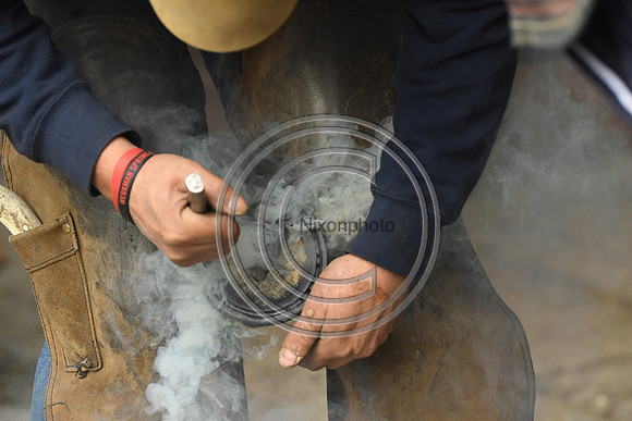 Nigel Perrott_Farrier_PN20_51832