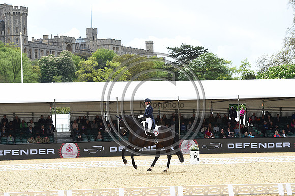 Kathleen Kröncke_San Royal 3_RWHS_PN23_71522