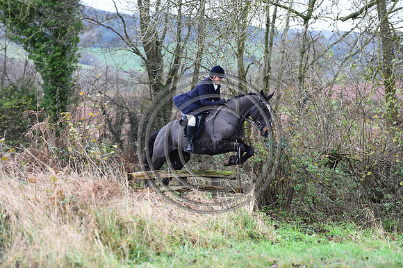 Ludlow_Hunting_19