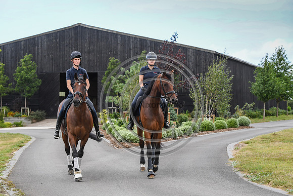 Collective Equestrian