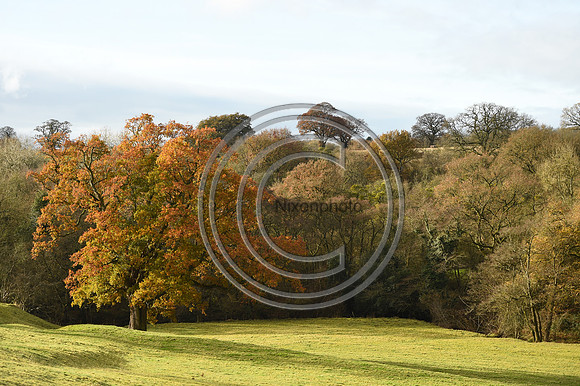 Ludlow_Hunting_234