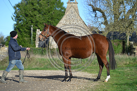 Mare_Selwood_PN70